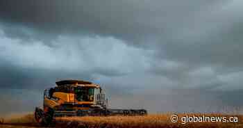 ‘I’m here for you’: Program helps farmers struggling with mental health