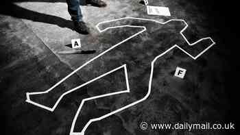 The best True Crime books 2024: Try a real-life WHODUNNIT