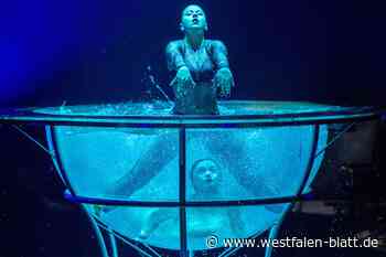 „Nervenkitzel hoch 10“ zu Weihnachten