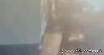 Video shows moment Holyhead port structure collapses beside ferry