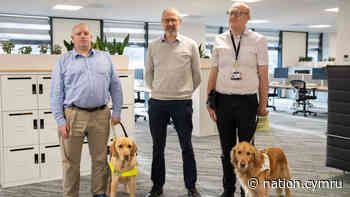 Guide Dog Jamie clocks in at Transport for Wales