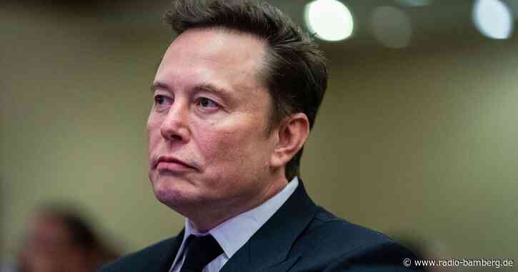 Musk: Nur die AfD kann Deutschland retten