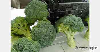 "We hadden grotere orders uit Duitsland verwacht"