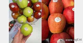 "Appelen worden opgeslagen in de hoop op betere prijzen van de verwerkende sector"