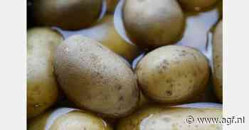 Nieuw-Zeeland onderzoekt geavanceerde aardappelveredelingstechnieken voor duurzame teelt