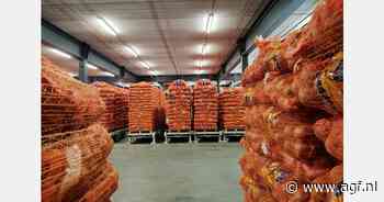 "Na vorig jaar met een min te hebben afgesloten, is de uienexport nu sterk begonnen"