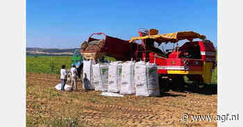 Agriindus gelanceerd voor verwerkende aardappelindustrie