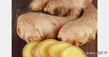 Fors kleinere Peruaanse gemberexport