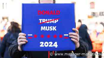 Elon Musk spricht sich für AfD aus