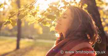 Woman shows correct way to wear scarf – and people have been 'living a lie'