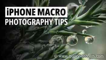 Mastering Macro Photography on Your iPhone