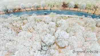 Urteil aus dem Verkehrsrecht: Fahrverbot für Außendienstler: Wann gilt besondere Härte?