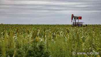 USA kämpfen mit Handelsdefizit: Trump drängt EU zu US-Ölkäufen - sonst "Zölle ohne Ende"