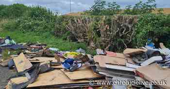 County Durham builder to pay fine after commercial waste fly-tipped on road
