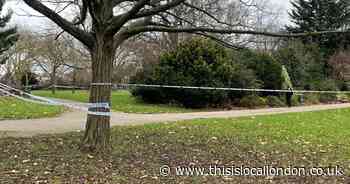 Willesden park shut by police after boy, 14, stabbed