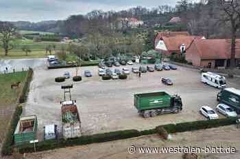 Weihnachtsbaumzüchter muss illegalen Parkplatz zurückbauen