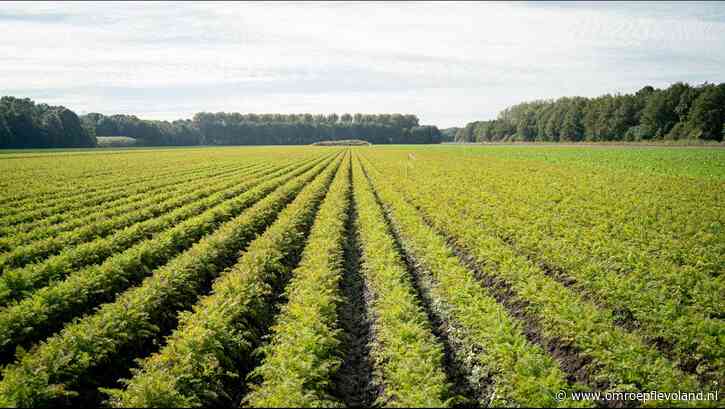 Flevoland - Flevoland krijgt meer geld voor landelijk gebied