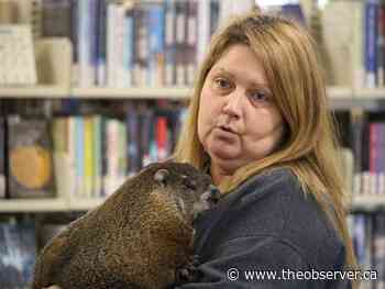 Lambton County wildlife rescue charity in need of donations