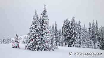 Dreaming of a white Christmas? Snow is likely in these US states according to NOAA climate data