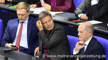 Habeck gibt Lindner Schuld an Schwäche der deutschen Wirtschaft – Wirtschaftsweise schießt zurück