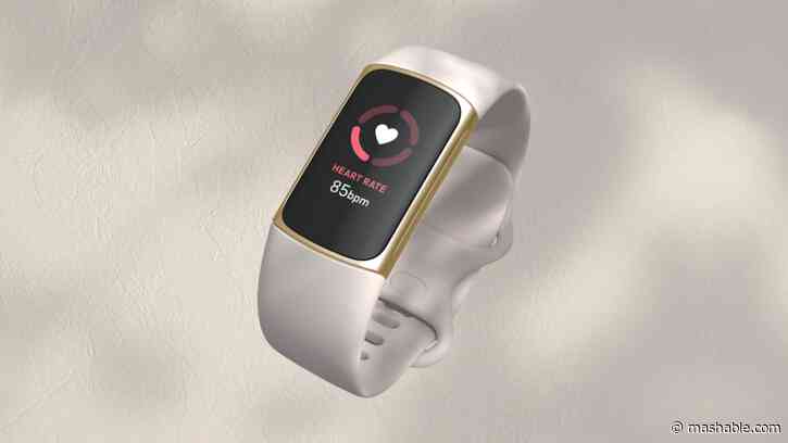 The best Fitbits in 2024