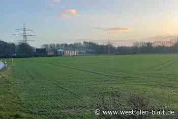 Steinhagen: Plant Amprion noch mehr als den Phasenschieber?