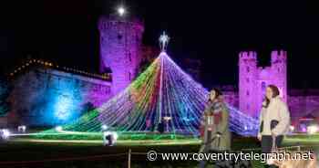 Warwick Castle light trail welcoming dogs for the first time