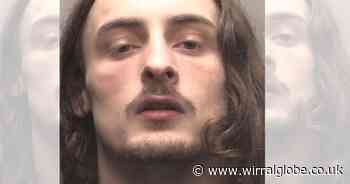 Repeat offender tried to escape police by climbing on shop roof