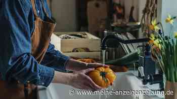 Wie man eine Haushaltshilfe über die Minijobzentrale anmeldet