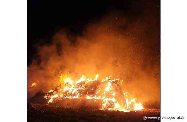 POL-VER: Pressemitteilung der Polizeiinspektion Verden/Osterholz von Samstag, den 21.12.2024
