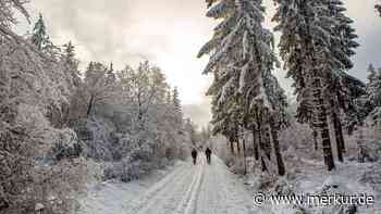 4 bezaubernde Winterwanderungen in der Eifel mit Aussicht