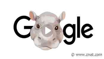 Google Doodle's 2024 Recap Spotlights Breakout Search Trends