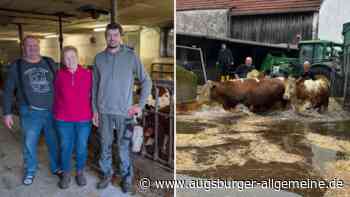 Sie retteten 100 Kälber: Was sich diese Hochwasseropfer zu Weihnachten wünschen