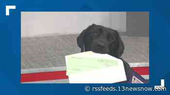 Non-profit supporting service members surprised with grant funding through 13News Now