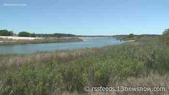 Bayfront Advisory Commission updates the public on controversial wetlands restoration project