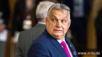 Romanowski "nicht der Letzte": Orban provoziert mit Asyl für PiS-Politiker