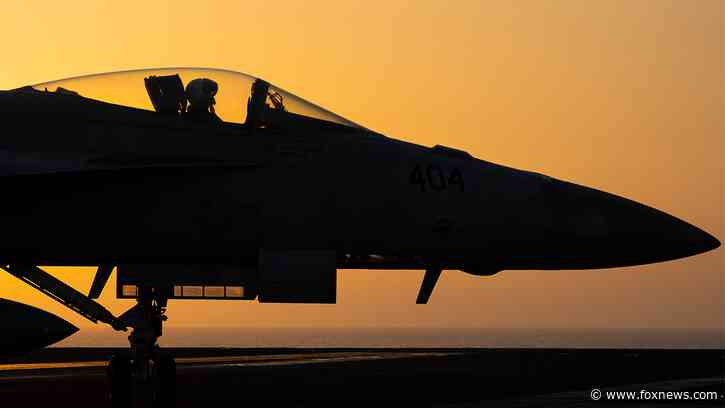 Two US Navy pilots shot down over Red Sea in apparent 'friendly fire' incident: US military