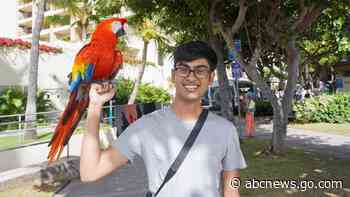 Ex-OpenAI engineer who raised legal concerns about the technology has died