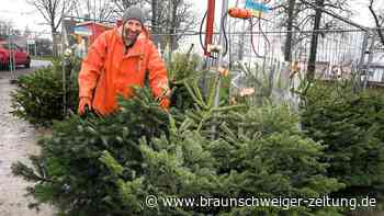 Hier gibt es noch Last-Minute-Weihnachtsbäume in Wolfsburg