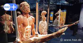 Veranstaltungstipps vom 23. bis 29. Dezember 2024 in Hannover