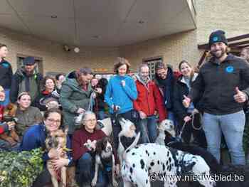 Trainer Arne gaat met honden en baasjes door weer en wind voor kerstwandeling: “Ik dacht eraan om Ubi weg te doen, maar de training veranderde alles”