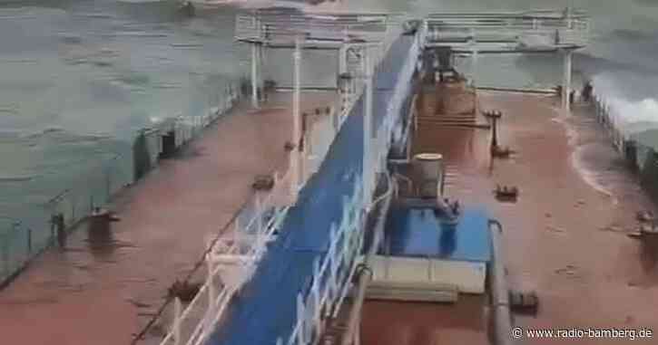 Ölkatastrophe im Schwarzen Meer löst Delfinsterben aus