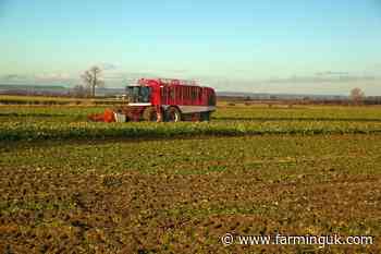 Labour set to completely ban use of three neonicotinoids