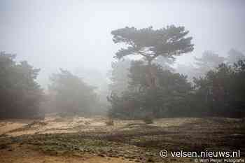 Geen witte maar grijze Kerst