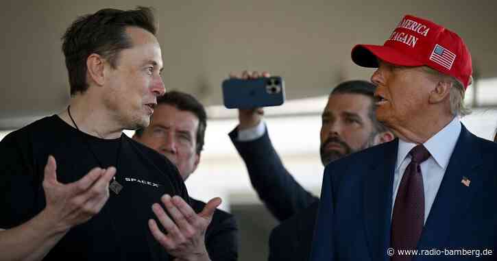 Trump: Musk übernimmt nicht die US-Präsidentschaft