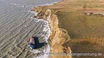 Katastrophe um Putins „Schattenflotte“ löst Delfinsterben aus