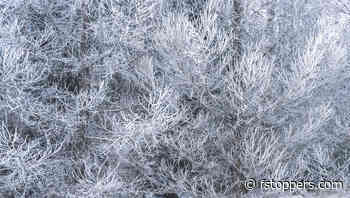 Conquer the Cold: Shoot Stunning Photos in Winter Weather