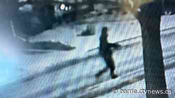 Police allege man failed to steal car after finding out it was standard