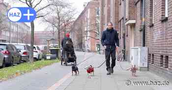 Giftköder-Alarm in Hannover: Ist ein Hundehasser in Vahrenwald aktiv?