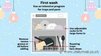 Experts reveal how to load your dishwasher this Christmas - and say the key is sticking a wash on BEFORE you sit down to eat your dinner